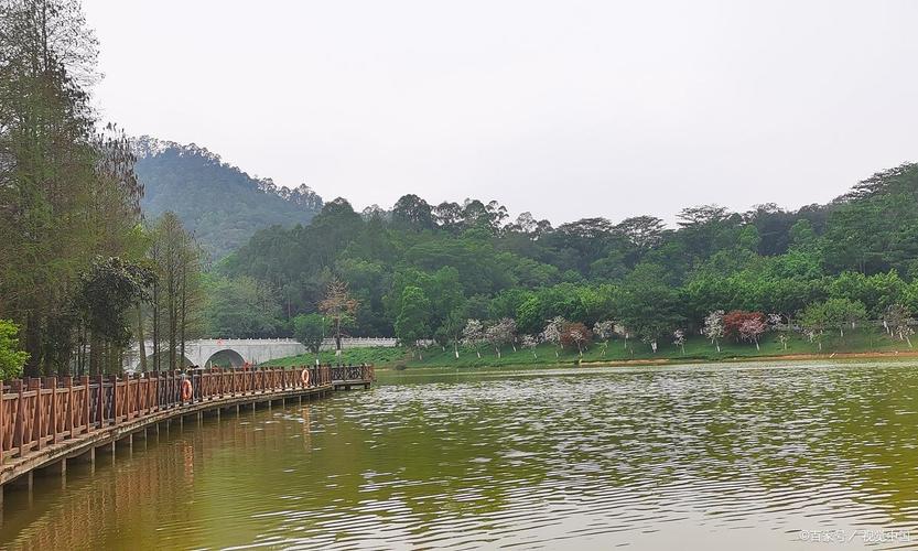 大夫山公园,岭南山水园林的瑰宝