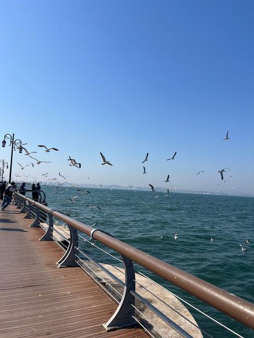 大连，浪漫之都，诗意海岸线