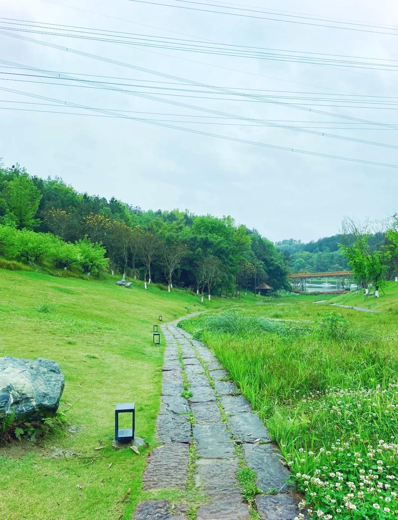 天府绿岛,绿色天堂，生态典范