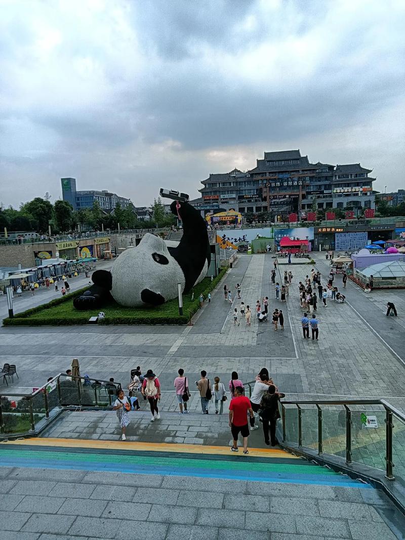 太仓熊猫景点,萌动时光，探秘国宝的温馨家园