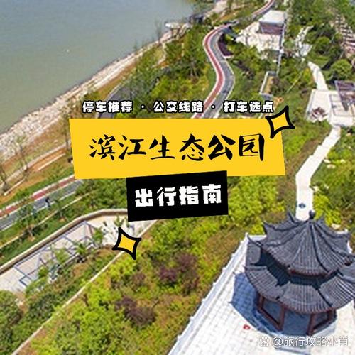 太平滨江公园,城市的绿肺，市民的乐园