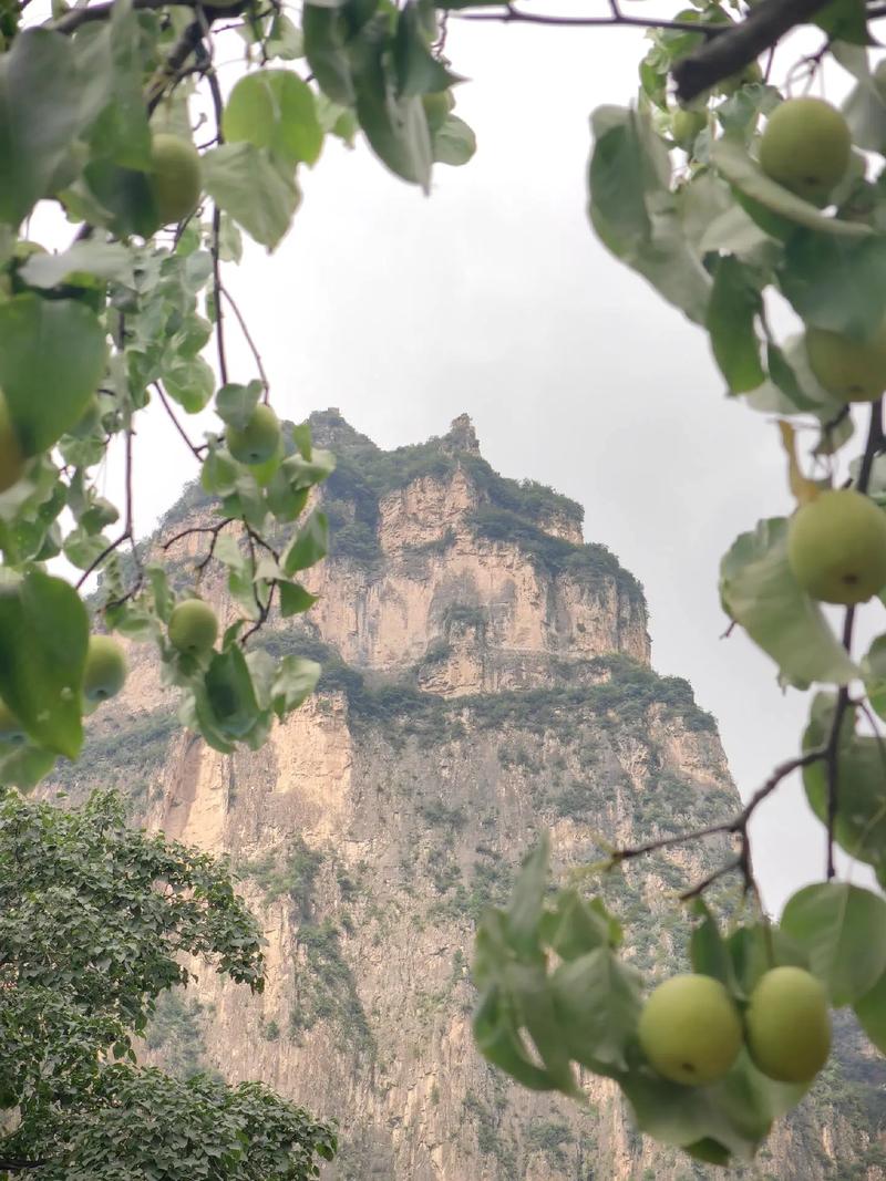 太行风光，林州揽胜_探秘林州太行景点的自然奇观与文化底蕴