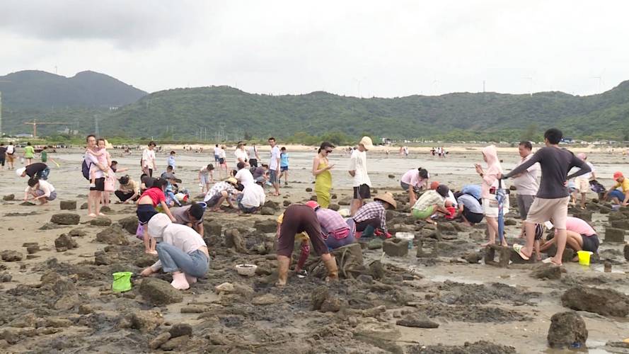 奉贤赶海沙滩,探寻自然魅力，体验海岛风情