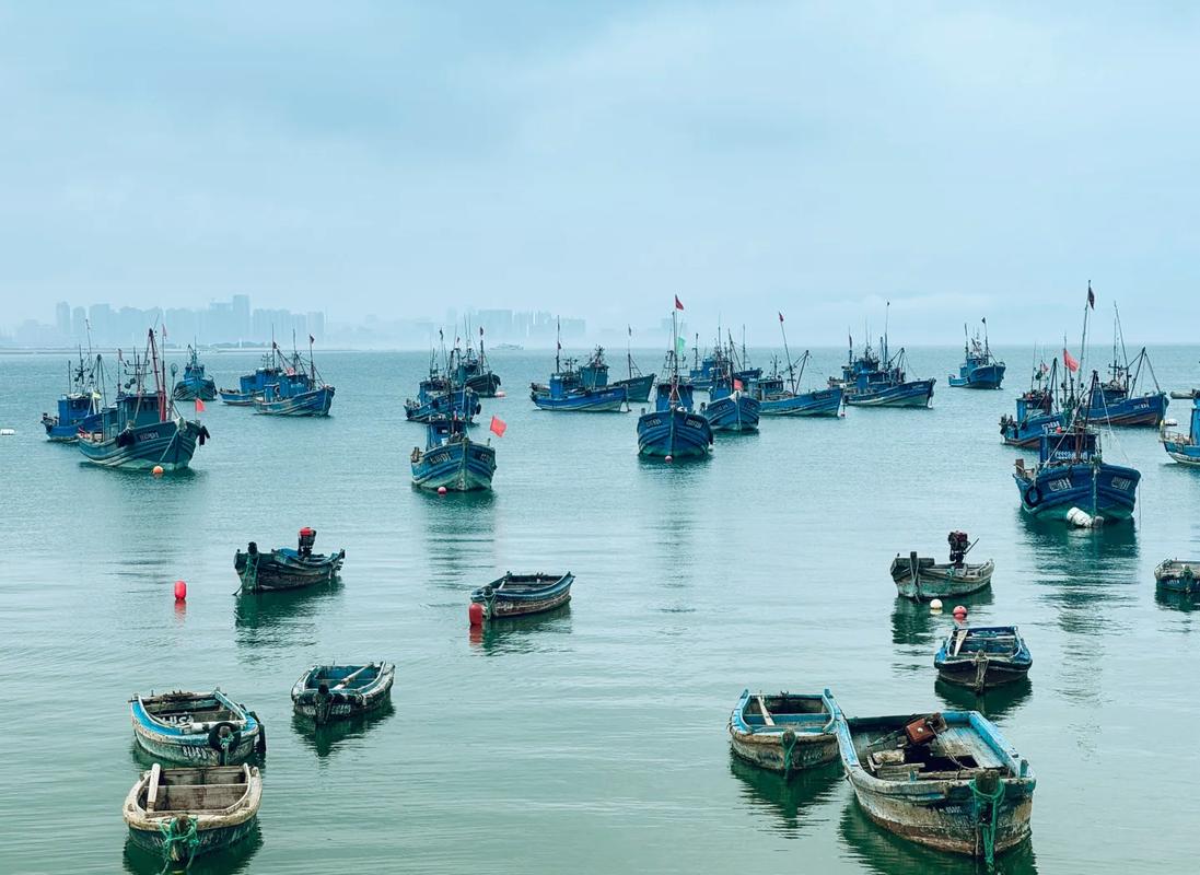 威海高铁之旅,探寻海滨城市的历史与现代魅力