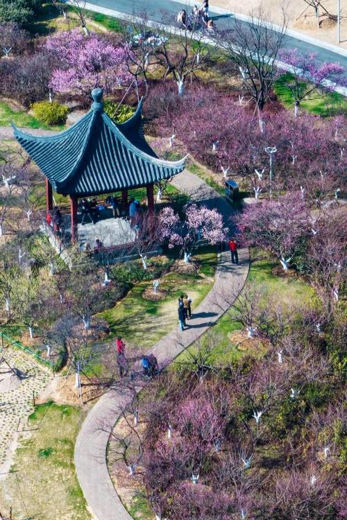 宁波花坛公园,城市绿肺，休闲胜地  第2张