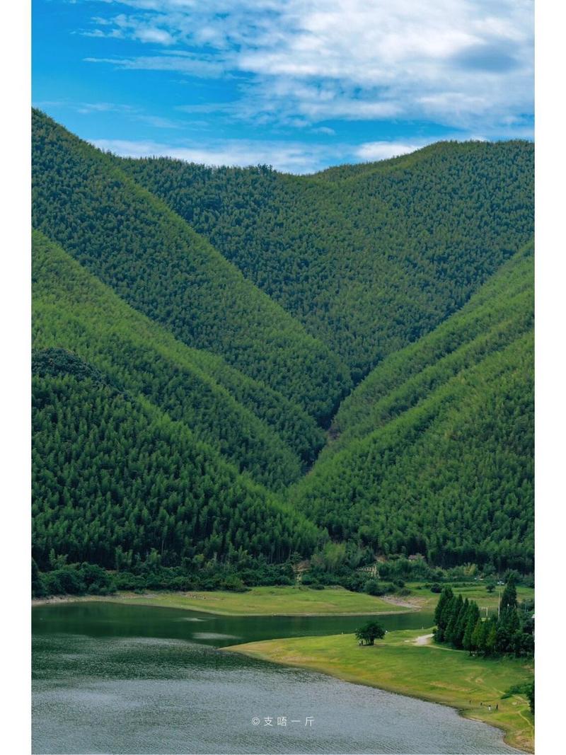 安吉高山竹林,隐匿于江南的天然氧吧与生态奇迹