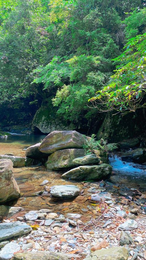 安岳周边避暑胜地探秘,清凉夏日，悠然自得