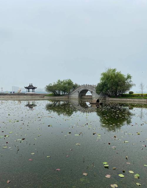 宜兴隔湖,江南水乡的明珠，自然与人文的完美融合