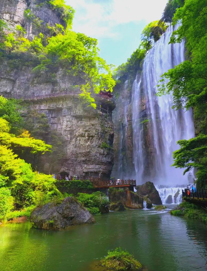 宜昌大老岭,隐匿于山水间的生态秘境  第2张