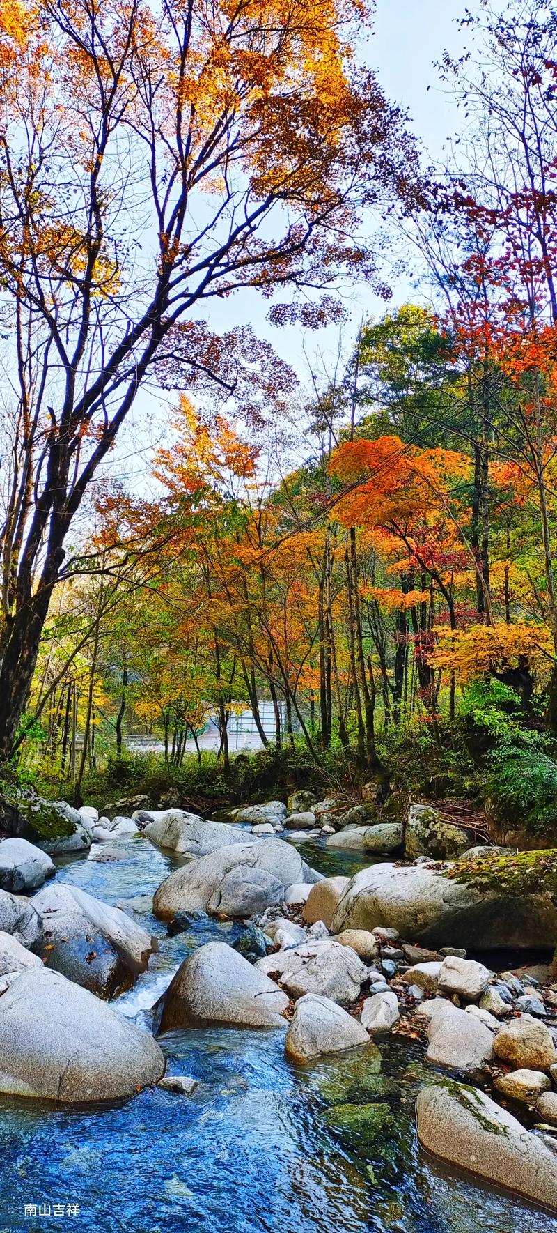 宝鸡周边秋季风情游,探寻古韵与现代交融的秋日美景