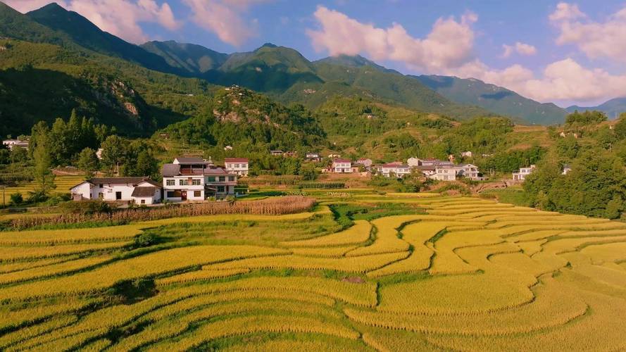 宣汉稻田风光,绿意盎然，体验乡村诗意生活