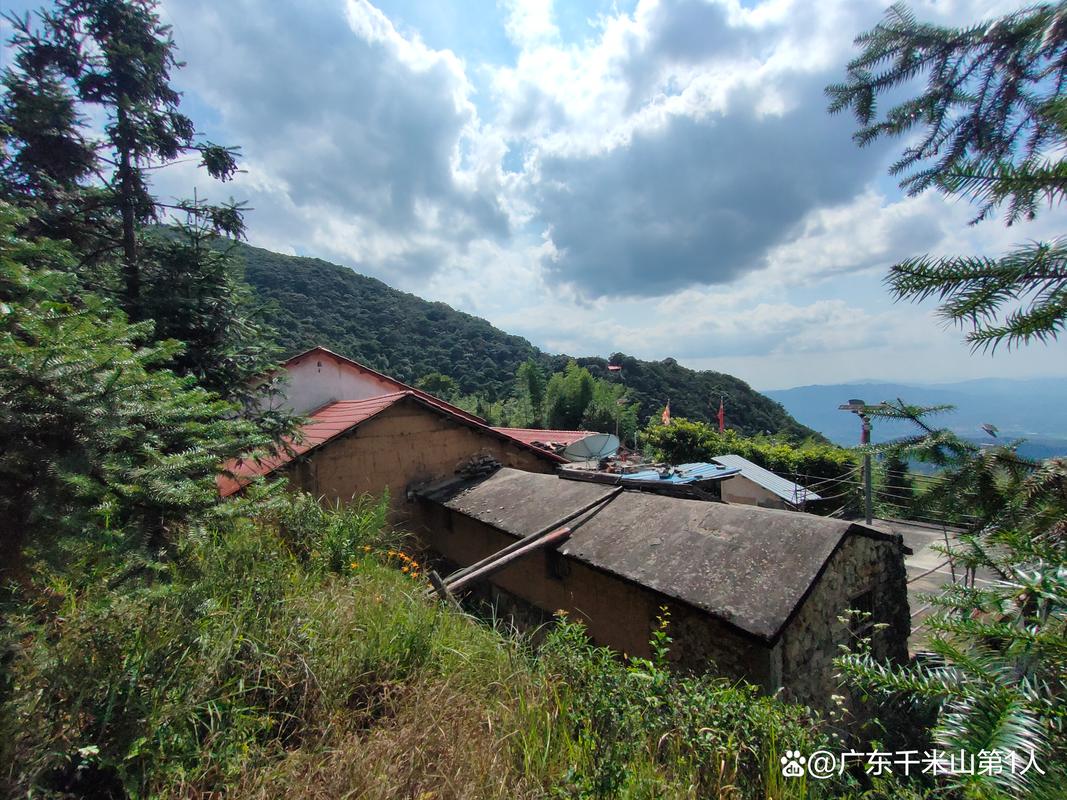 寿山乡,探寻自然与人文交融的旅游胜地