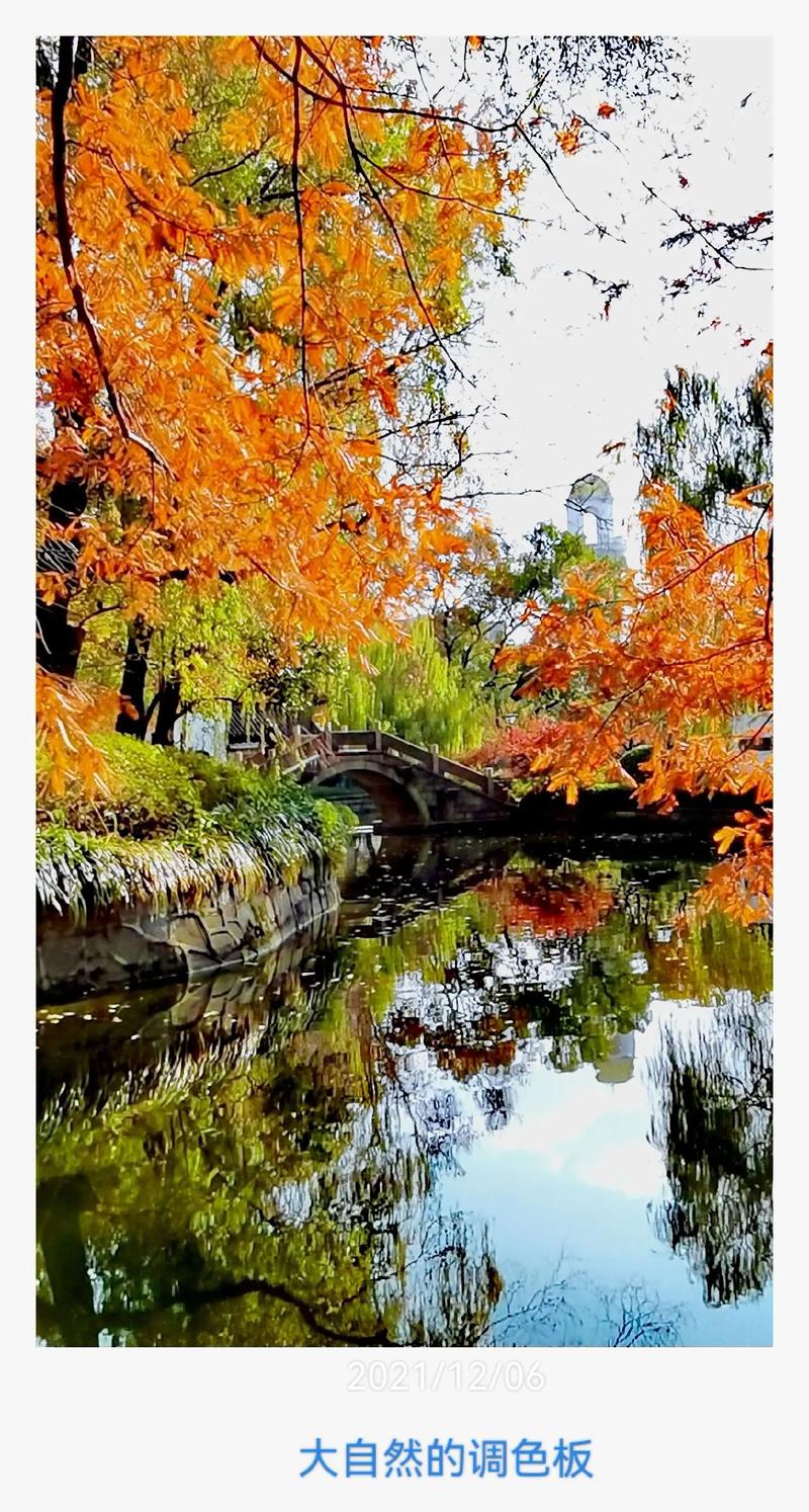 山西花卉胜地,大自然的调色板，生命的盛宴