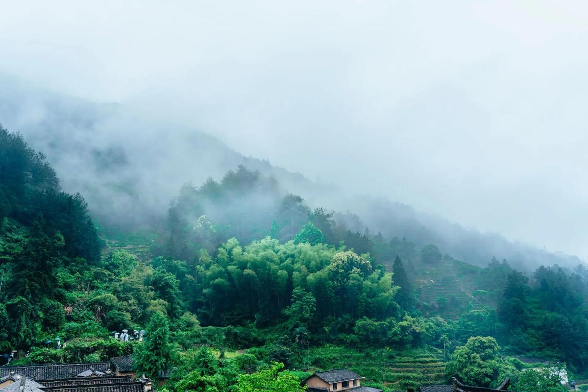 山西雾城,云雾缭绕的仙境，探寻历史的足迹