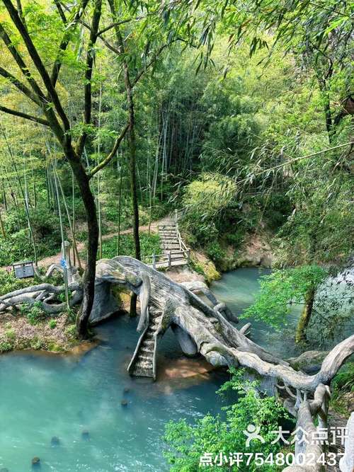 岳麓山小水池,隐匿于山水之间的宁静仙境