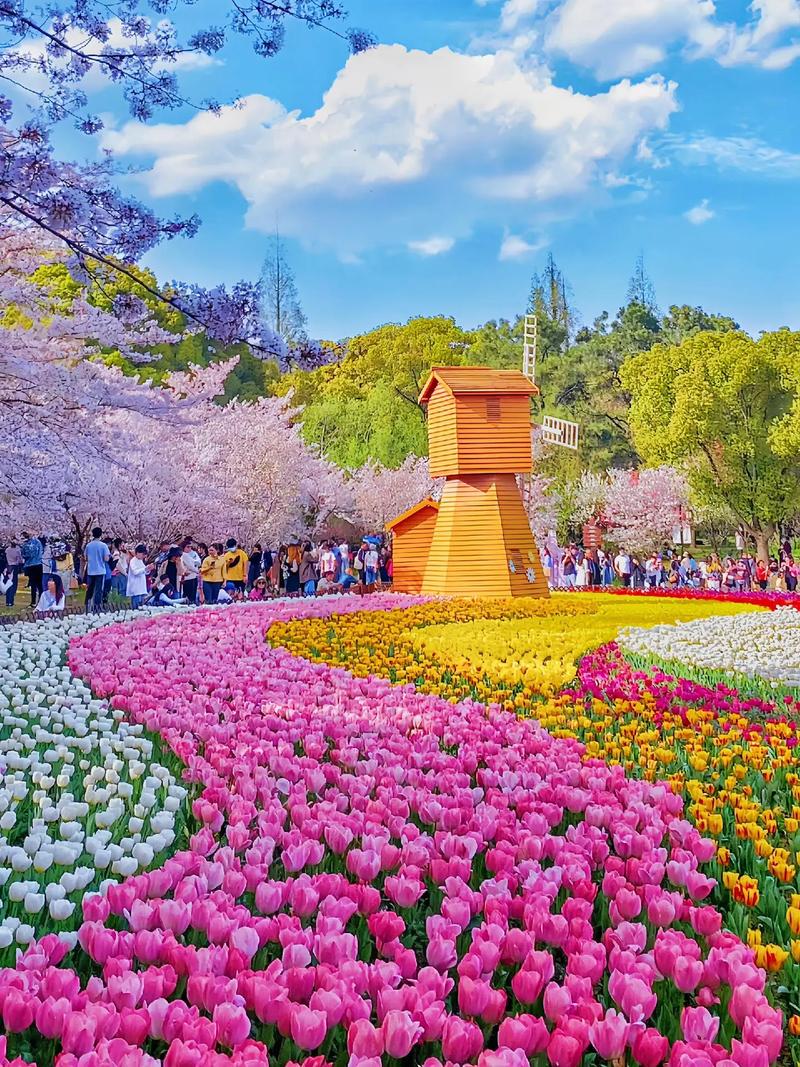 常州周边春季赏花胜地，邂逅春日浪漫时光