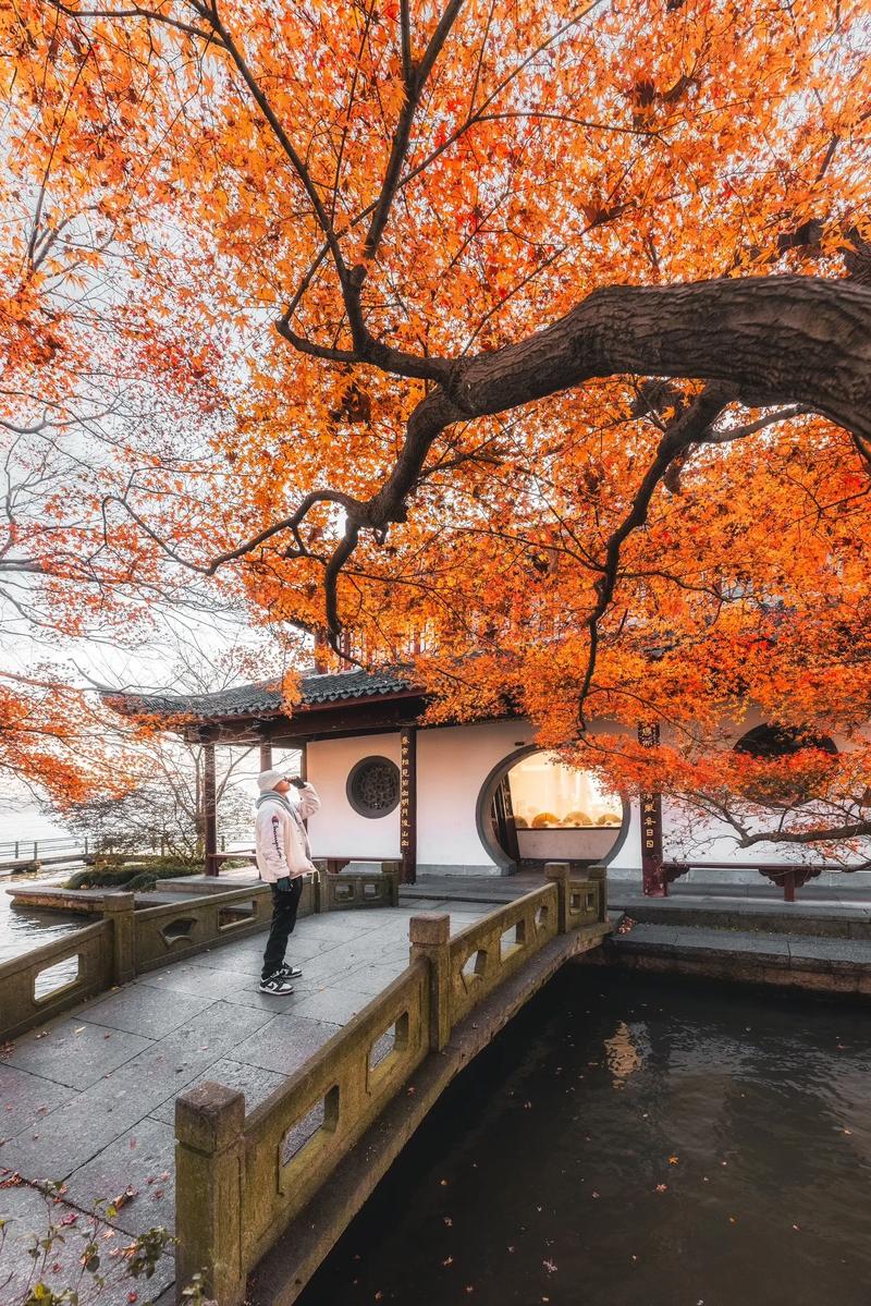 平湖秋色，醉美时光_探访浙江平湖秋季景点