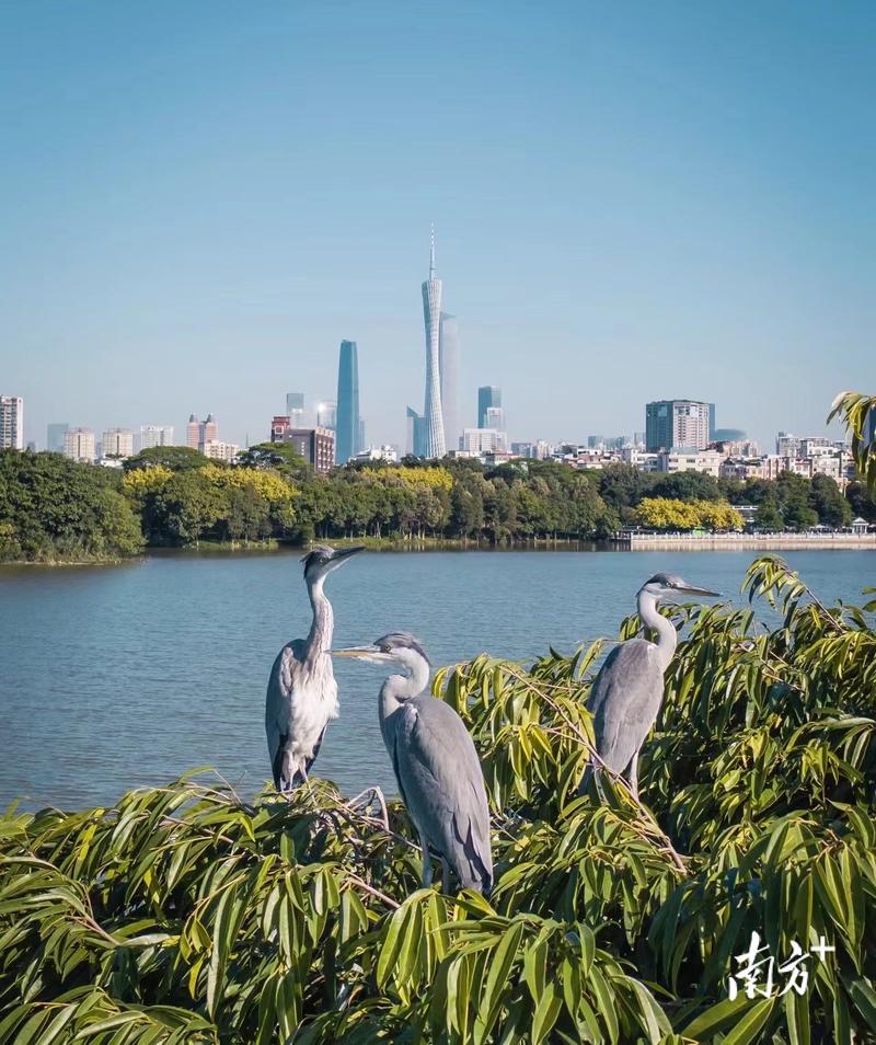 广州山间秘境,探寻都市绿洲的自然之美