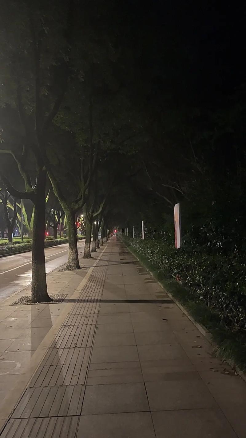 广州月亮景点,探秘千年羊城夜色下的静谧之美  第2张