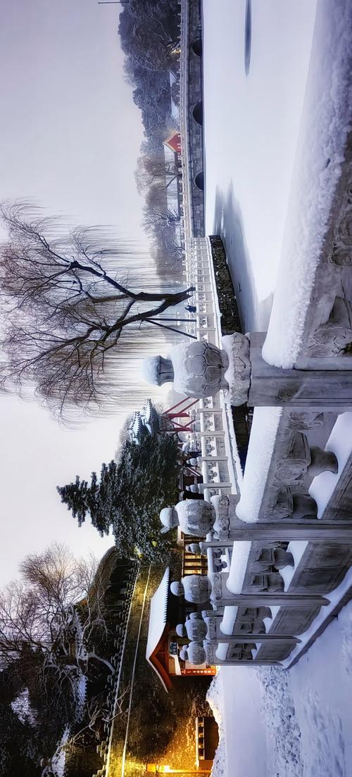 广平冬日风光，探寻北国雪韵之美