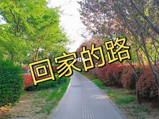 归家的路,探寻历史与现代交织的风景线