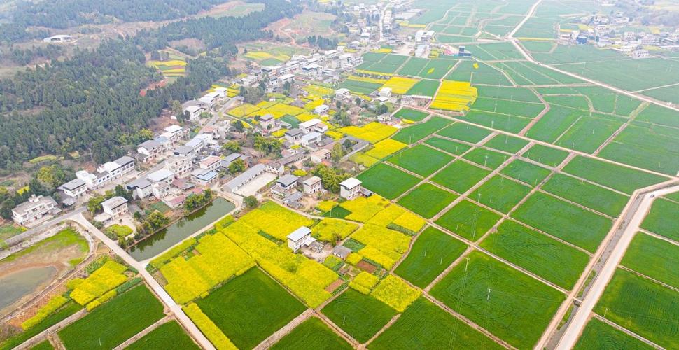 彭州农田美景,田园风光中的诗意栖息地