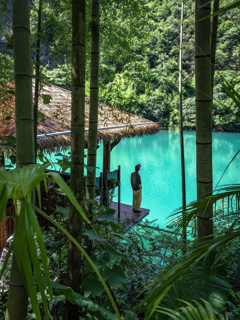 徜徉德清美景，探秘江南水乡的秘境之旅