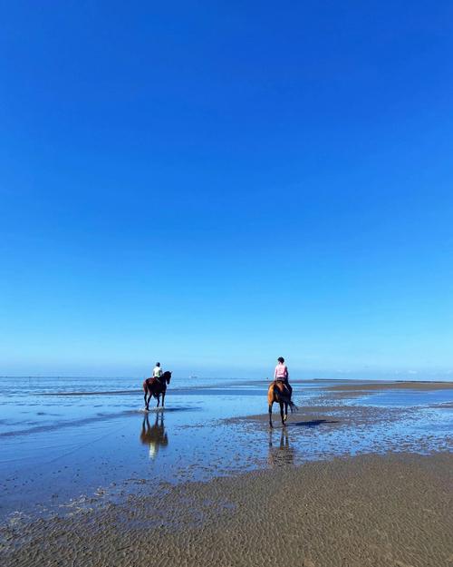 德国旅游海岸,探寻北欧风情与浪漫海岸线的完美邂逅  第2张