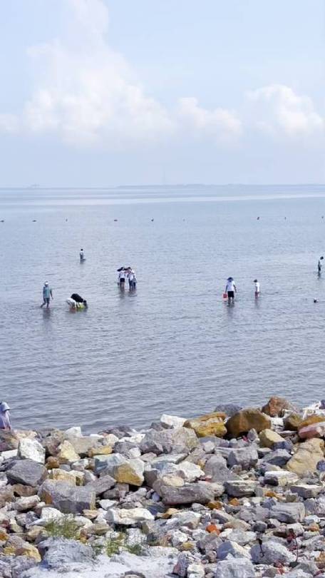 慈溪赶海沙滩,追寻海浪轻拂的休闲胜地