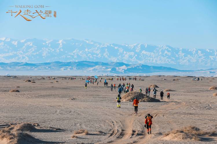 戈壁风光无限，探寻自然与历史的交融之旅