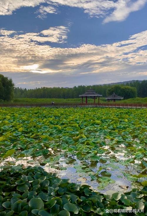 打卡甘肃美景_探寻打卡湖的迷人风光