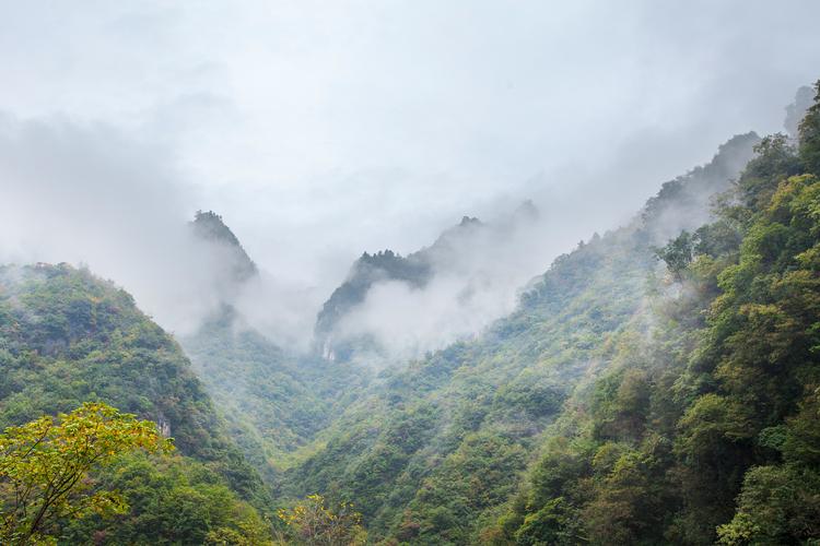 指南山,探寻自然奇观，领略生态之美