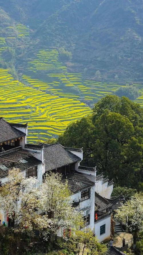 探寻上饶信州区春日美景，感受自然魅力