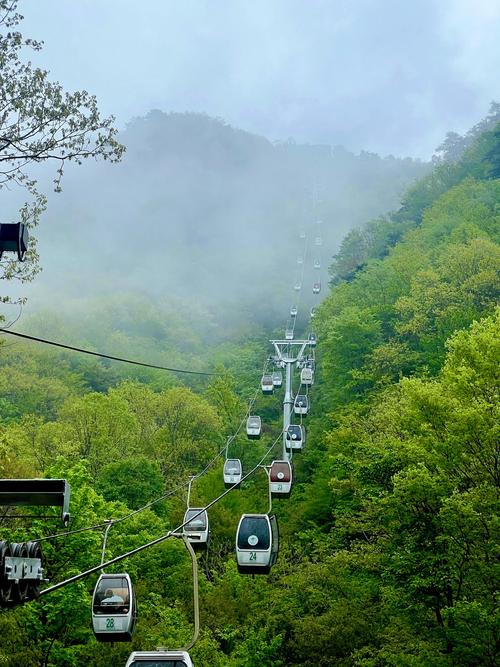 探寻中原大地，河南的十大绝美景点