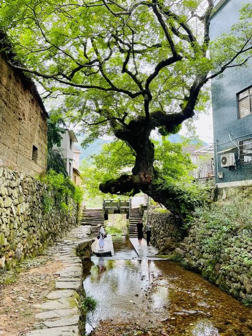 探寻临海乡村美景,邂逅诗意田园，感受古朴风情