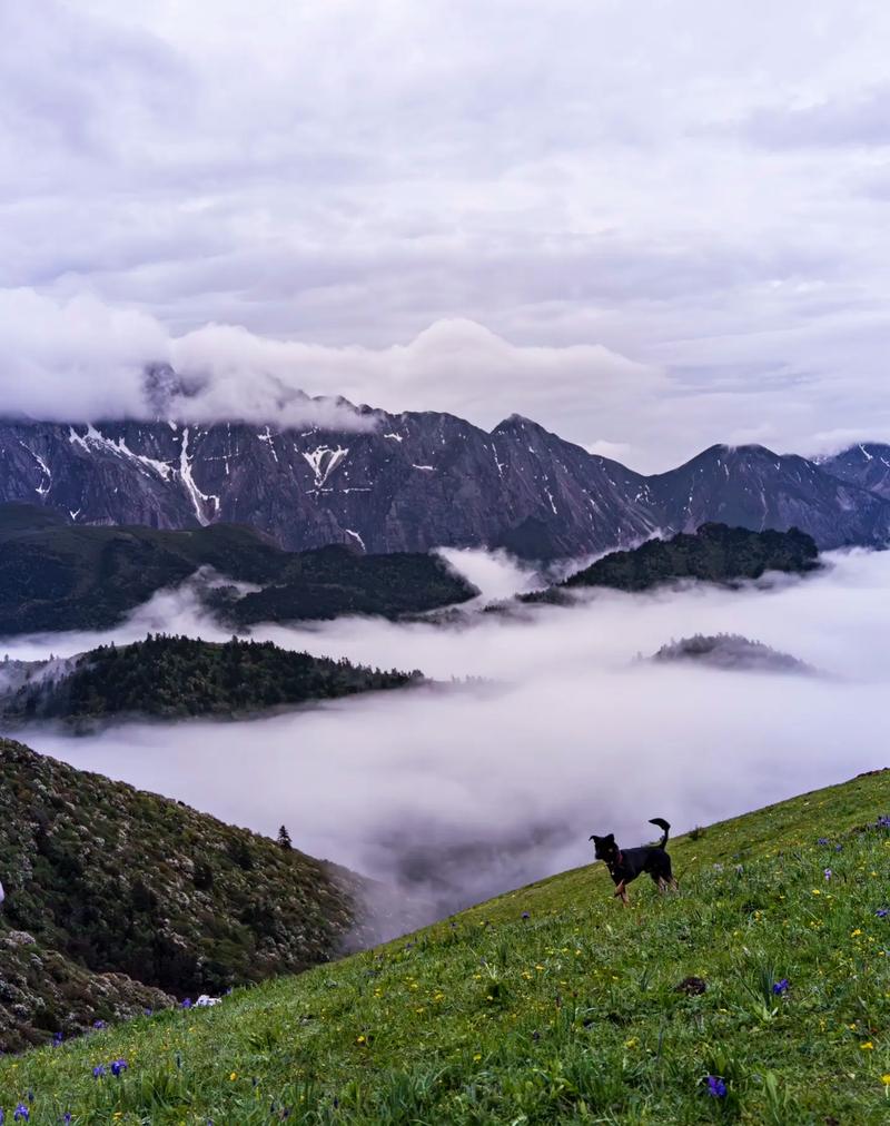 探寻九山顶周边美景，感受大自然的神奇魅力