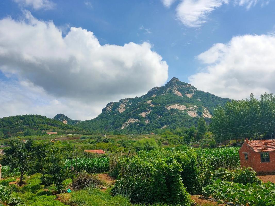 探寻乳山乡村美景，领略自然与文化交融的魅力