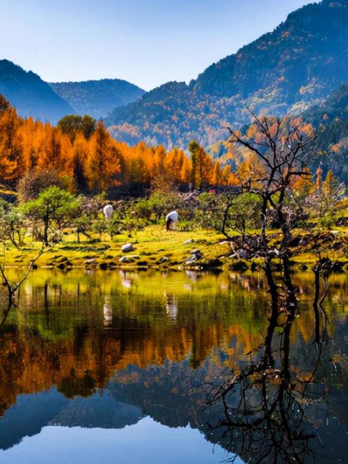 探寻交城之美,风景如画，特产丰饶