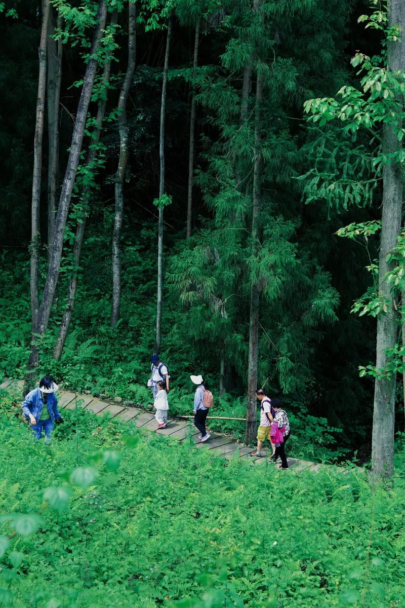 探寻什邡徒步之旅,走进自然，感受生命之美