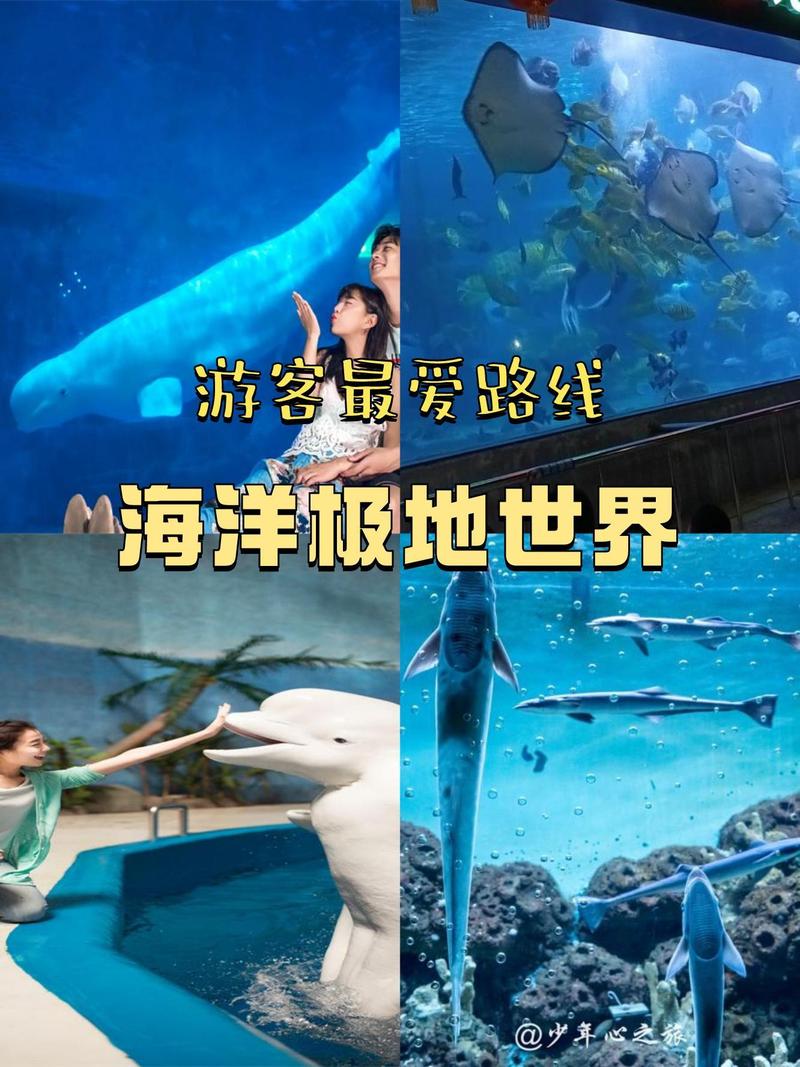 探寻六横海洋之美,海洋公园的奇幻之旅