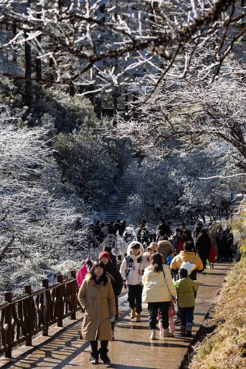 探寻冬日的仙境_瓦屋山雪景之旅