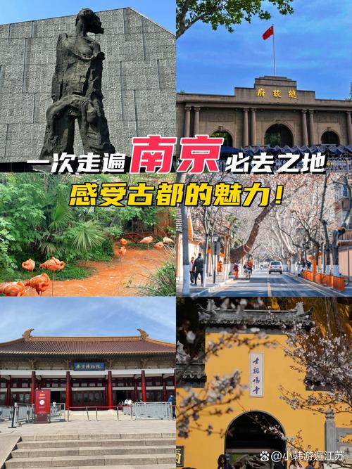 探寻南京宝藏街道,历史与现代交融的韵味之旅