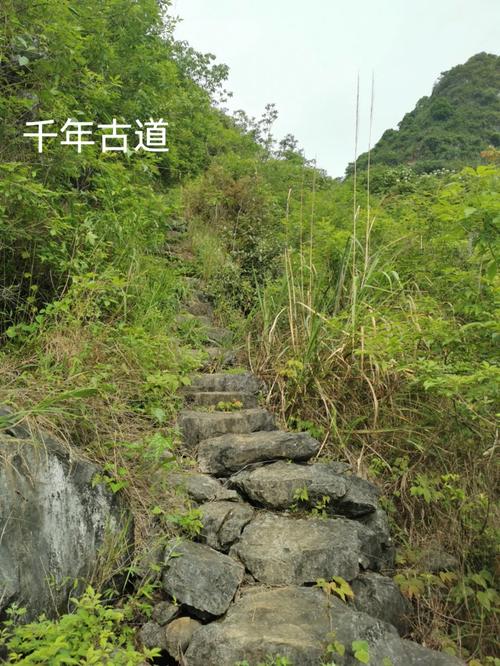 探寻历史足迹，漫步太湖小池古道_一场穿越时光的旅程