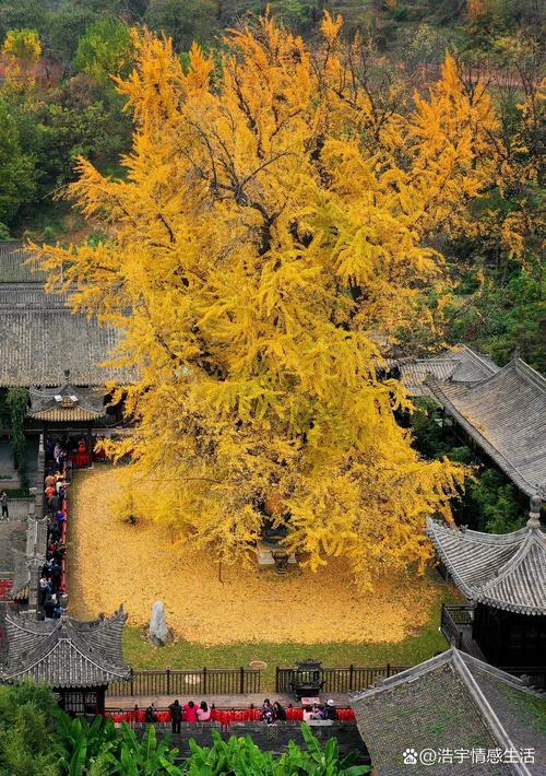 探寻古都西安的禅意圣地_观音禅寺