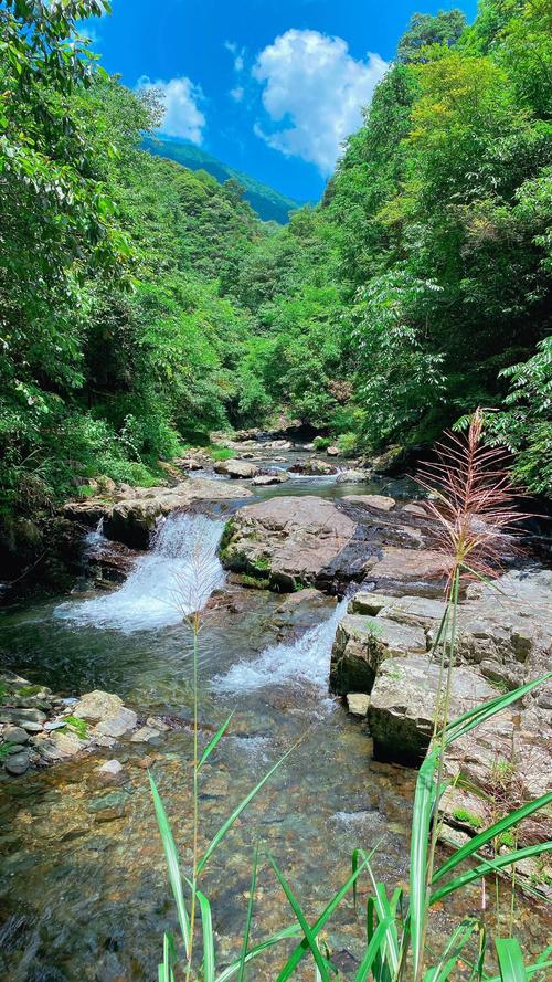 探寻夏日清凉，北部避暑胜地之旅