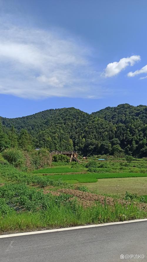 探寻大容山农庄,田园风光中的休闲胜地  第2张