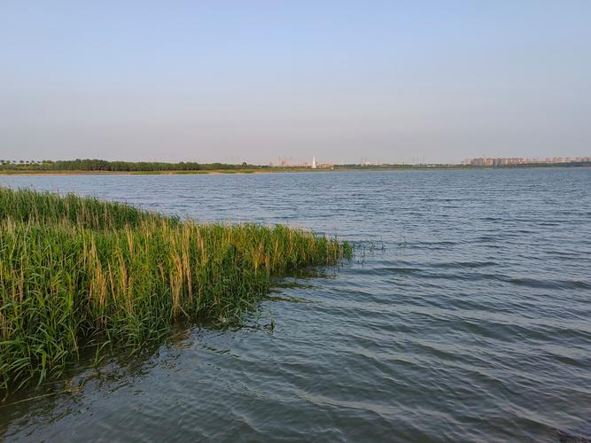 探寻大沽河沿岸美景，感受历史文化魅力