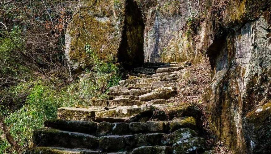 探寻天目山美景,红叶古道，秘境幽林，养生福地