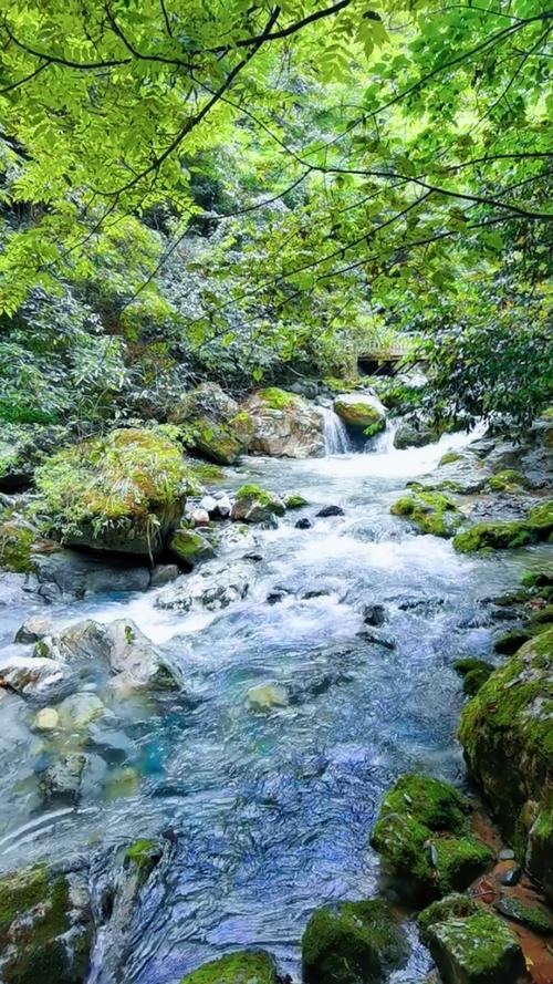 探寻娄底周边溪流美景,诗意盎然，寻梦自然