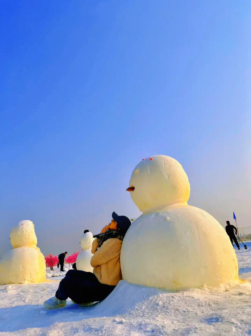 探寻宁夏冬季魅力,一场穿越时光的冰雪之旅